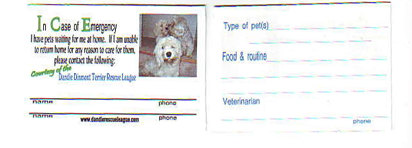 ICE card image